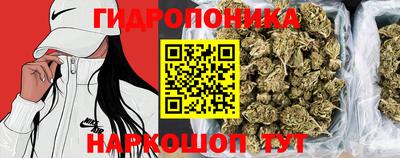 герыч Новозыбков