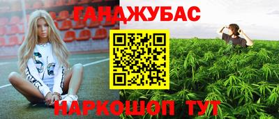 МДПВ Новокубанск